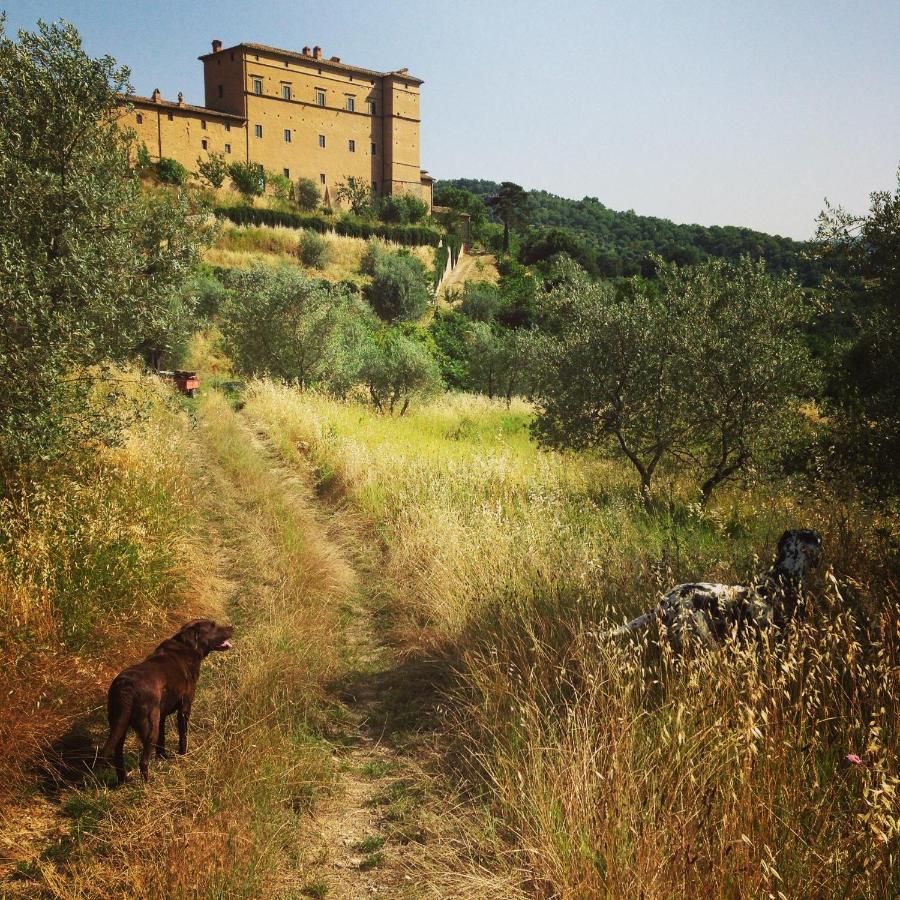 Castello Di Potentino Seggiano Eksteriør bilde