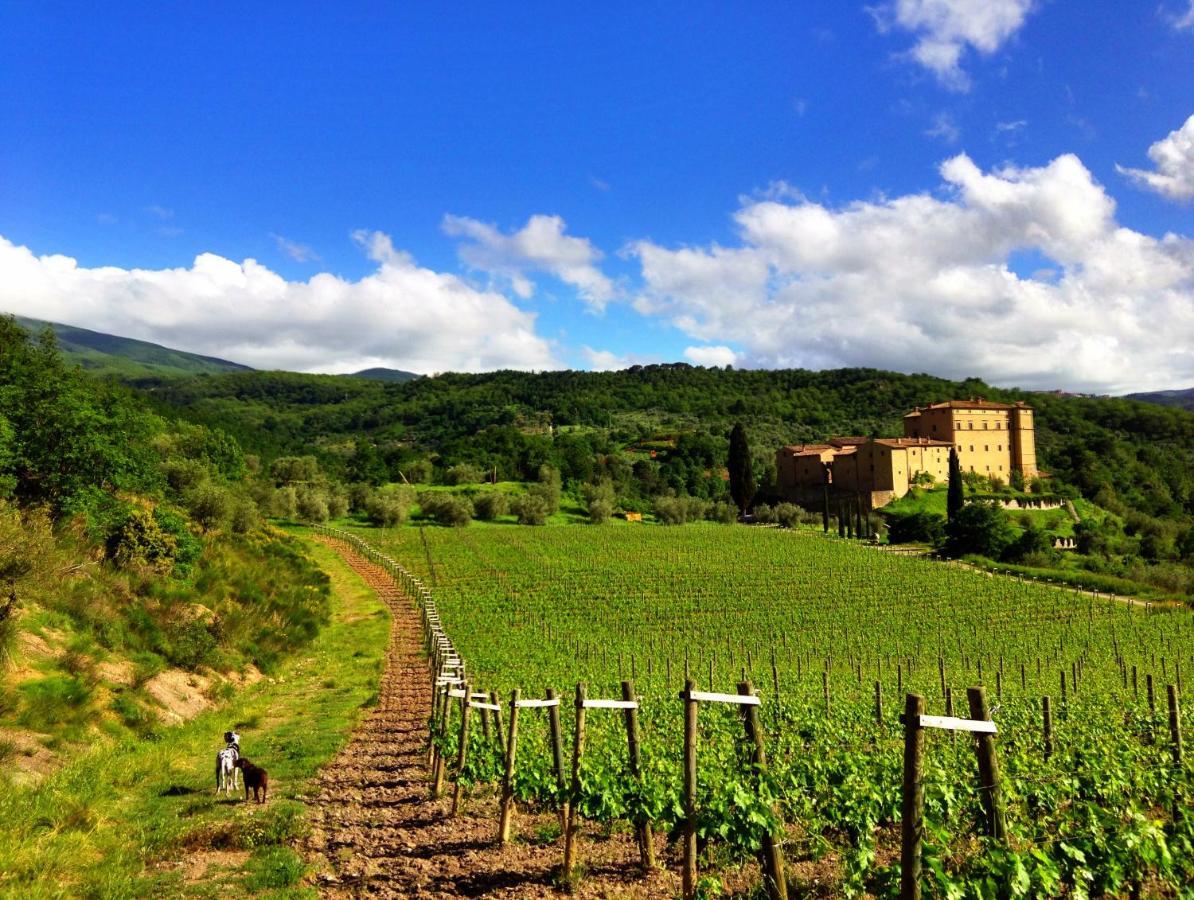 Castello Di Potentino Seggiano Eksteriør bilde